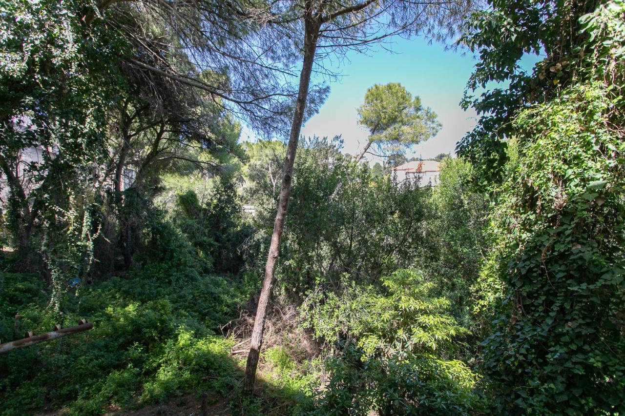 חיפה Carmel Boutique Apartments - Urban Forest מראה חיצוני תמונה